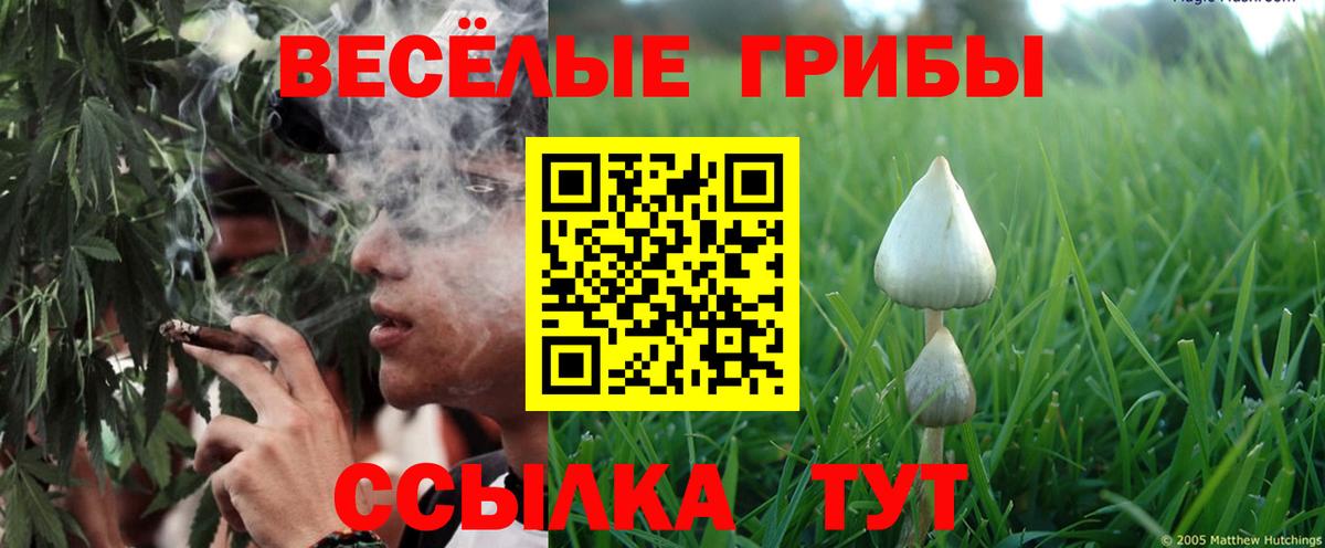 Ноябрьск  Галлюциногенные грибы Magic Shrooms  Вход с VPN 